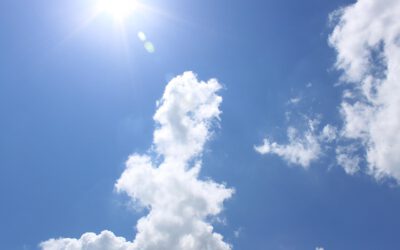 Vitamin D – Wann sind Supplements sinnvoll?